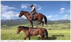 App不供给任何从手机相册或其他使用法式上传照