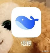 点开后我也大要大白这小鲸鱼的葫芦里卖的啥