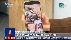 <b>平台可以或许从动识别出这是由某个软件制做出</b>